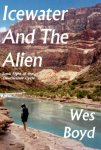 Icewater and the Alien - small book cover